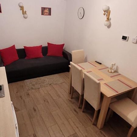 Apartament Miruna Sibiu Filarmonicii Екстер'єр фото